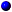 Bluered.gif (1701 byte)