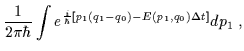 $\displaystyle \frac{1}{2\pi\hbar}\int e^{\frac{i}{\hbar}\left[p_1(q_1-q_0)-E(p_1,q_0)\Delta t \right]}dp_1 \; ,$