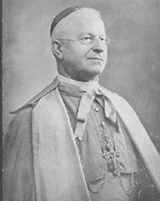 Giuseppe Maria Palatucci, Vescovo di Campagna