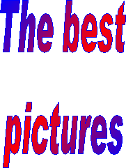 The best
pictures