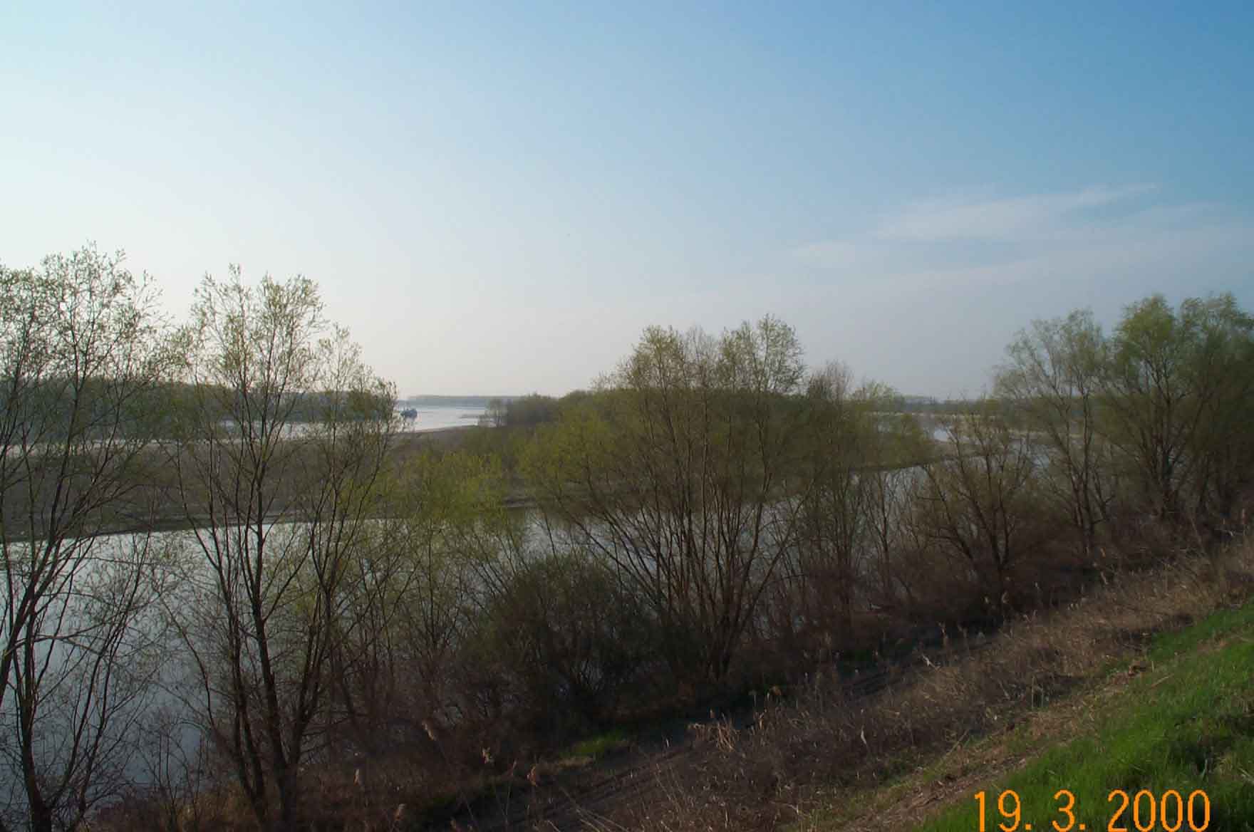 a river view