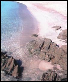 spiaggia rosa.jpg (12045 byte)