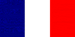 all_flags_ani.gif (27658 byte)