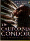 The California Condor 