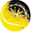logo_torneo.gif (6492 byte)