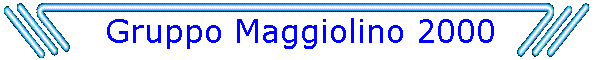 Gruppo Maggiolino 2000