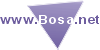 Home Bosa.net