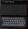 Timex T1000 (9278 byte)