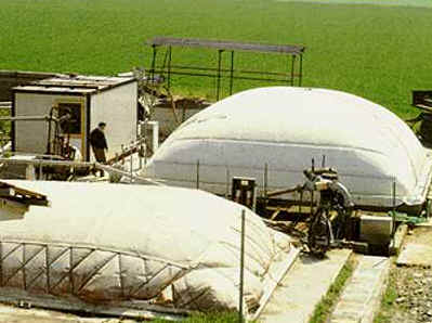 biogass.jpg (27461 byte)