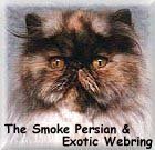 The Smoke Persian & Exotic Webring
